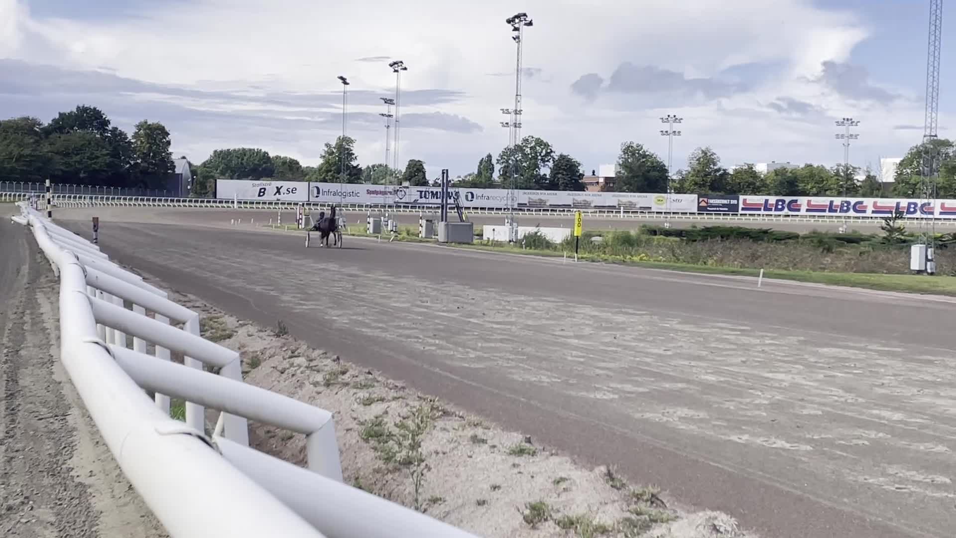 Trav hästar till salu: Kapabel 2-årig valack - Video 2