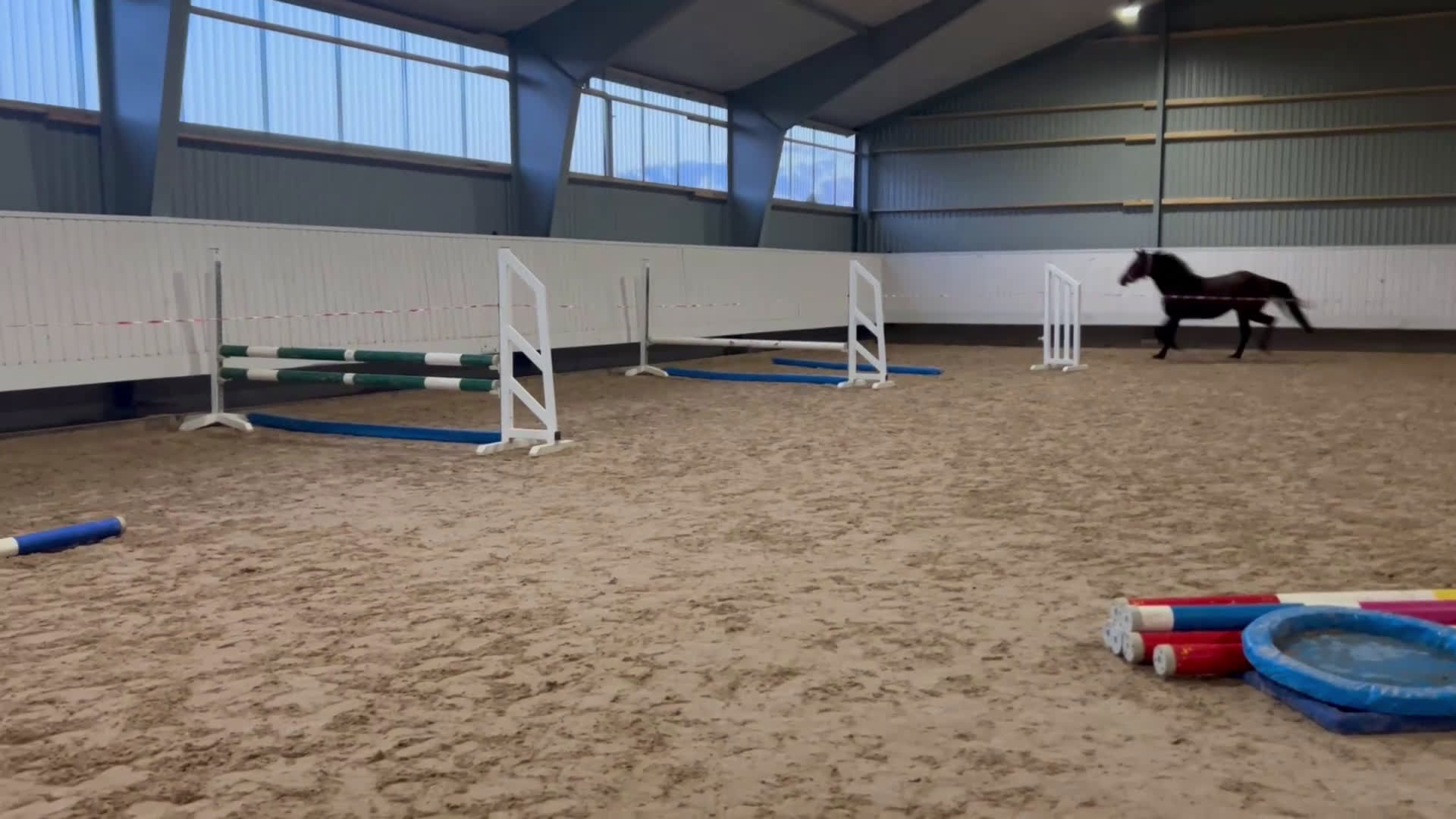 Allround hästar till salu: Flott unghäst med mycket potential i Hörby - Video 1