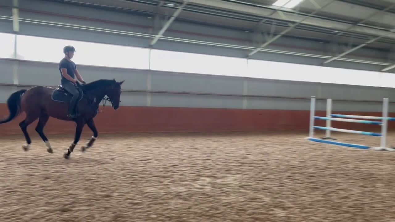 Hoppning hästar till salu: Sto med potential i Kungsbacka - Video 3