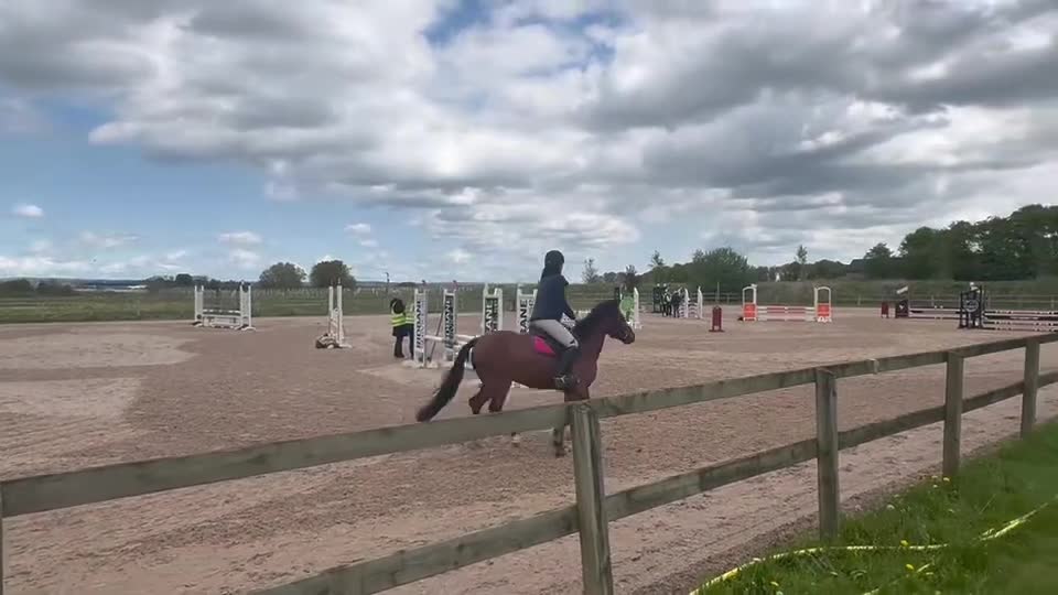 Hoppning hästar till salu: Fantastisk ponny med toppstam!  - Video 1