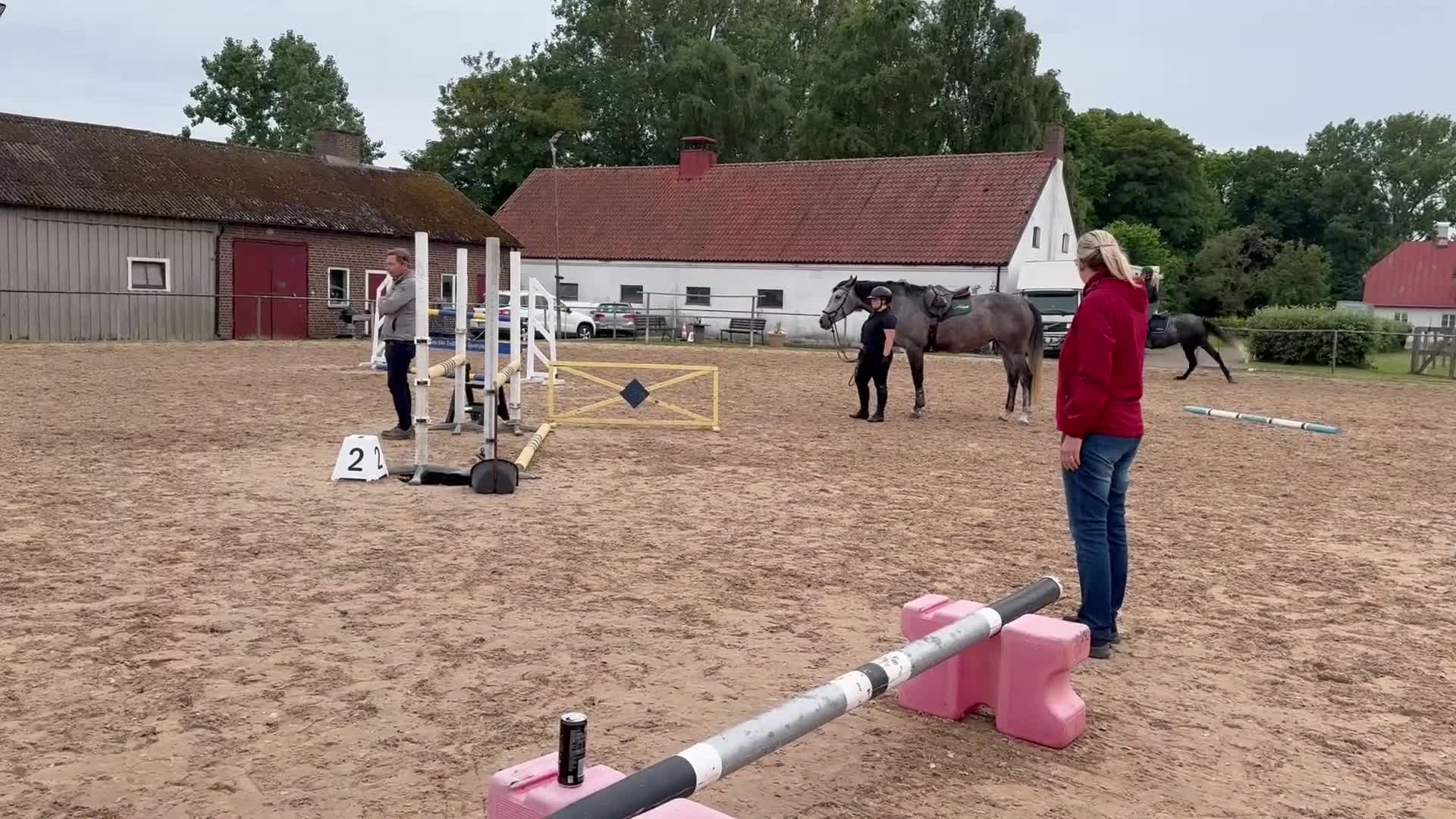 Hoppning hästar till salu: Unghäst för framtiden  - Video 1
