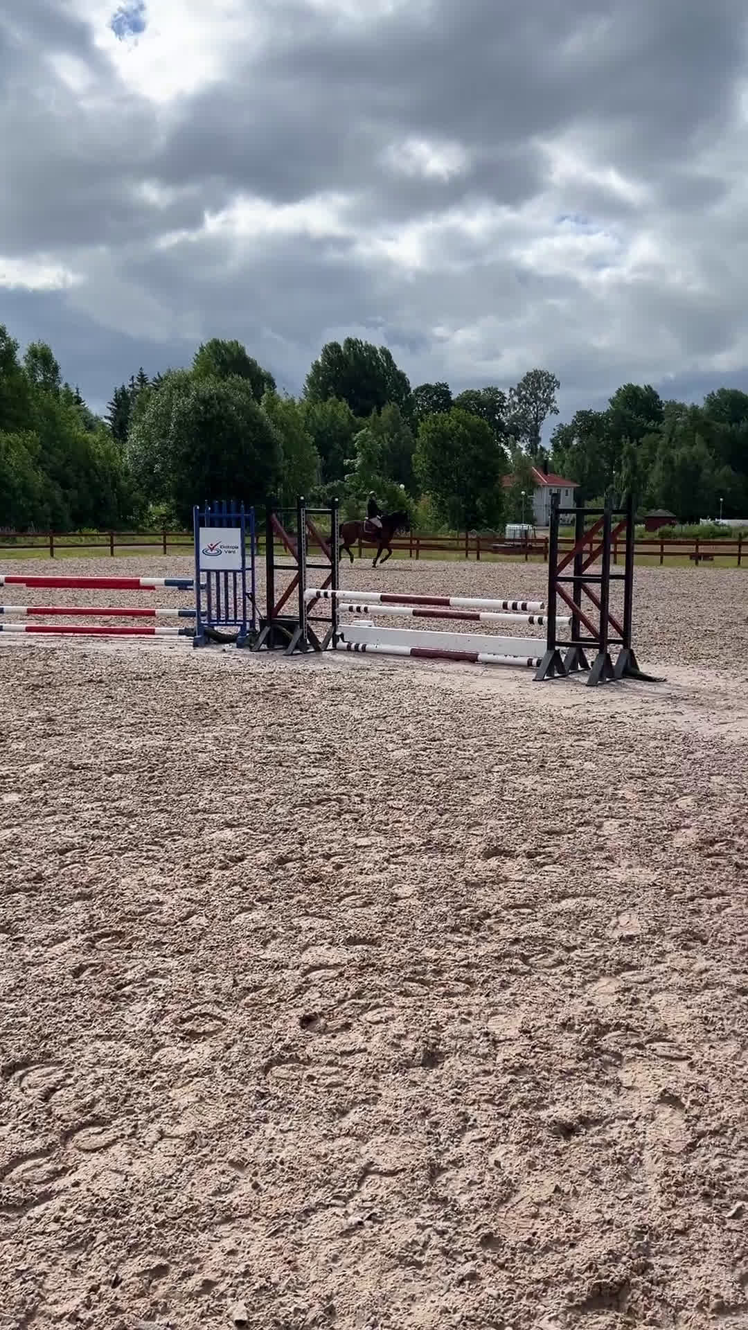 Allround hästar till salu: Snygg valack RESERVERAD  i Eksjö - Video 3