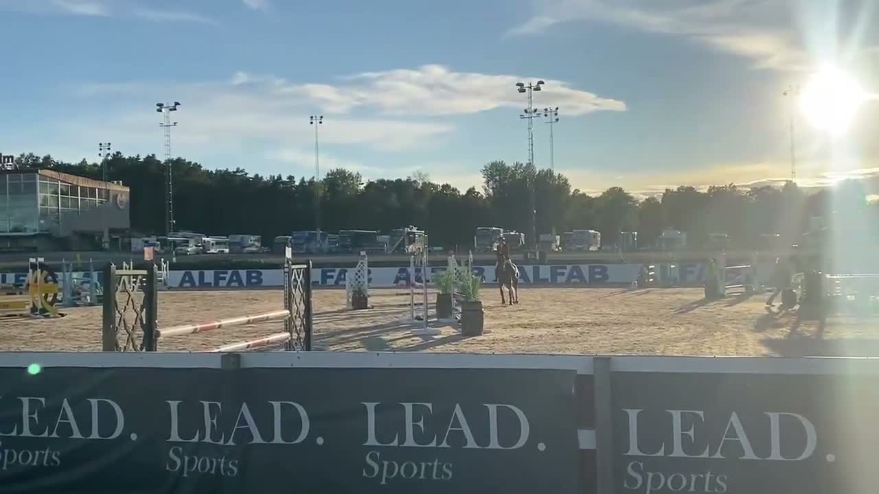Hoppning hästar till salu: Fin femåring för framtiden  - Video 2