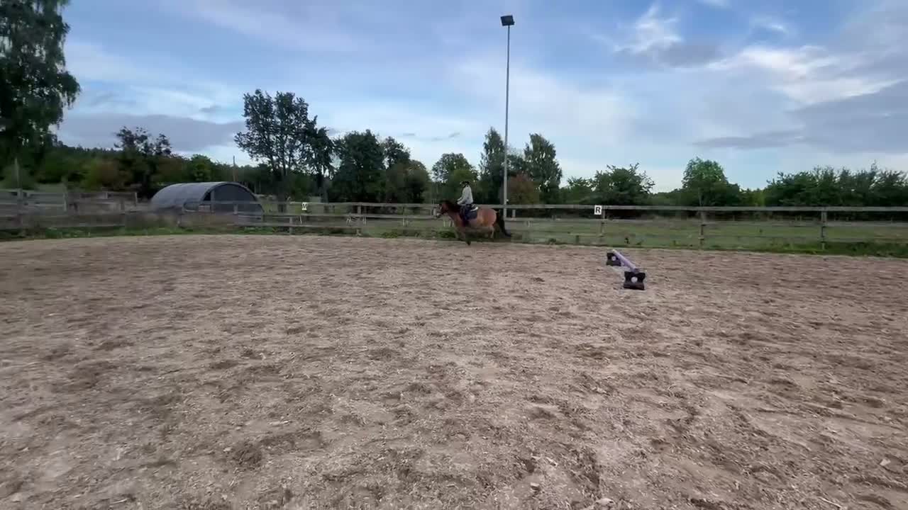 Allround hästar sökes: B-ponny söker medryttare i Norra Sorunda - Video 1