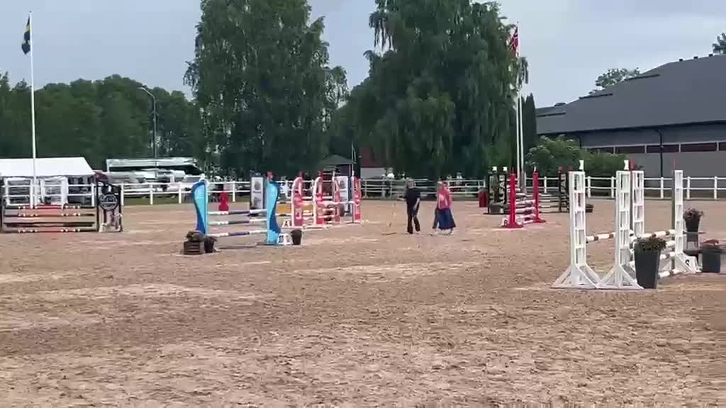 Hoppning hästar till salu: Fantastisk ponny med toppstam!  - Video 1