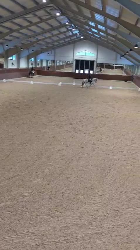 Allround hästar till salu: Maxad snygg B-ponny - Video 3