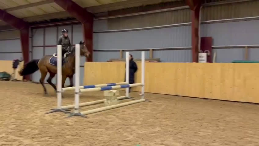 Hoppning hästar till salu: FRAMTIDS ÄMNE!  i Ekeby - Video 1