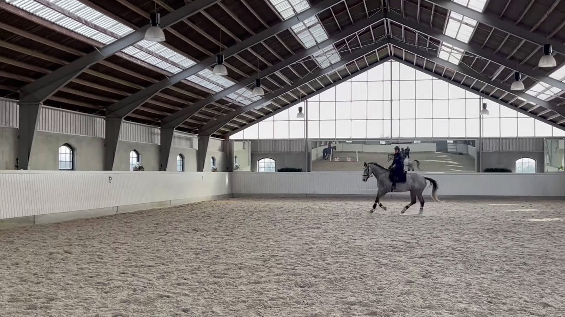 Allround hästar till salu: SWB valack - Video 5