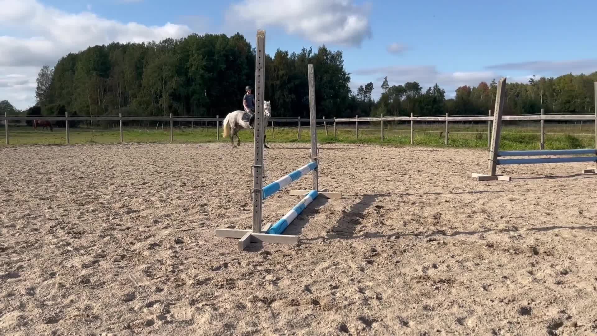  hästservice finnes: Utbildning/tillridning/försäljning/tävling i Stora Mellösa - Video 2