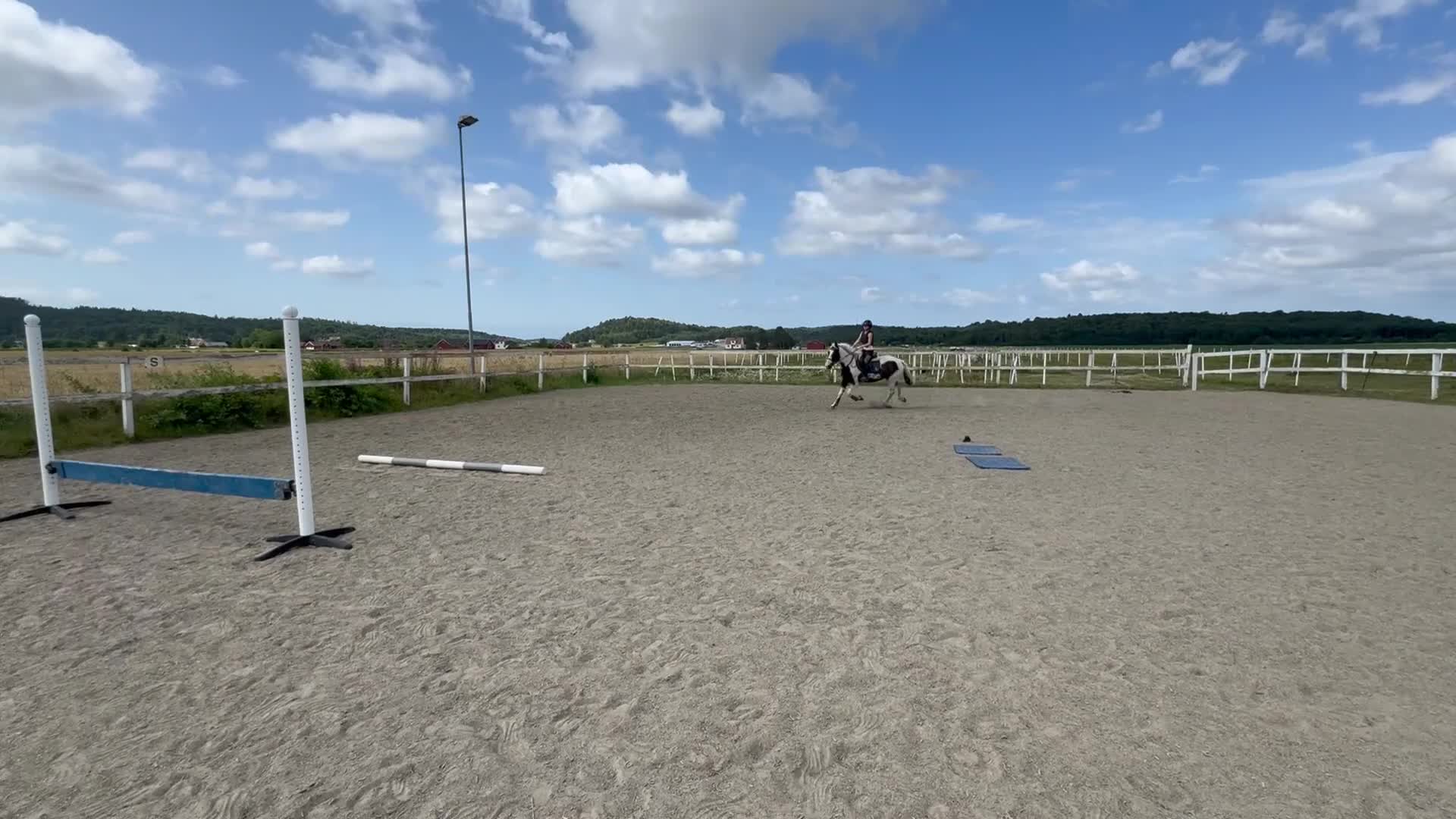 Allround hästar till salu: ”Projekt”  - Video 2