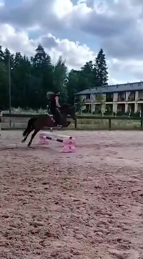 Hoppning hästar till salu: Weldh part-bred B-ponny i Helsingfors - Video 3