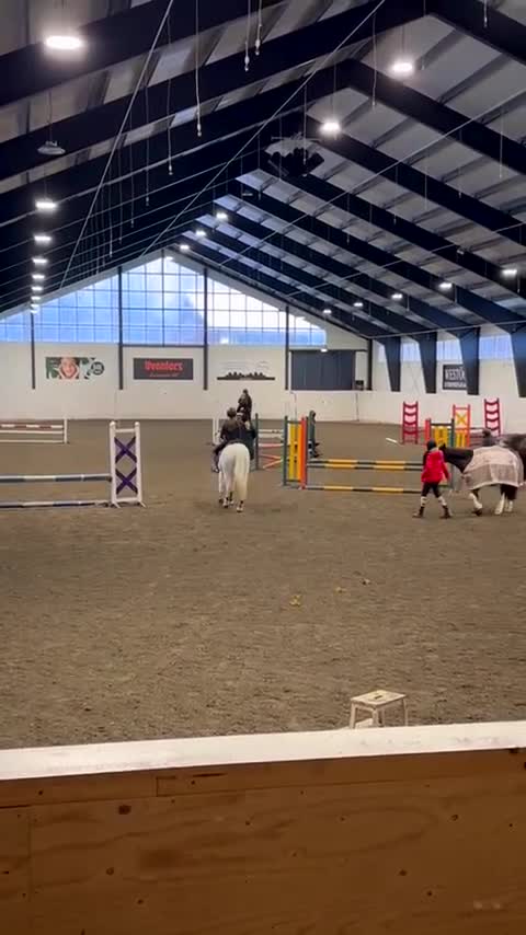 Allround hästar till salu: Snäll C-Ponny i Skara - Video 1