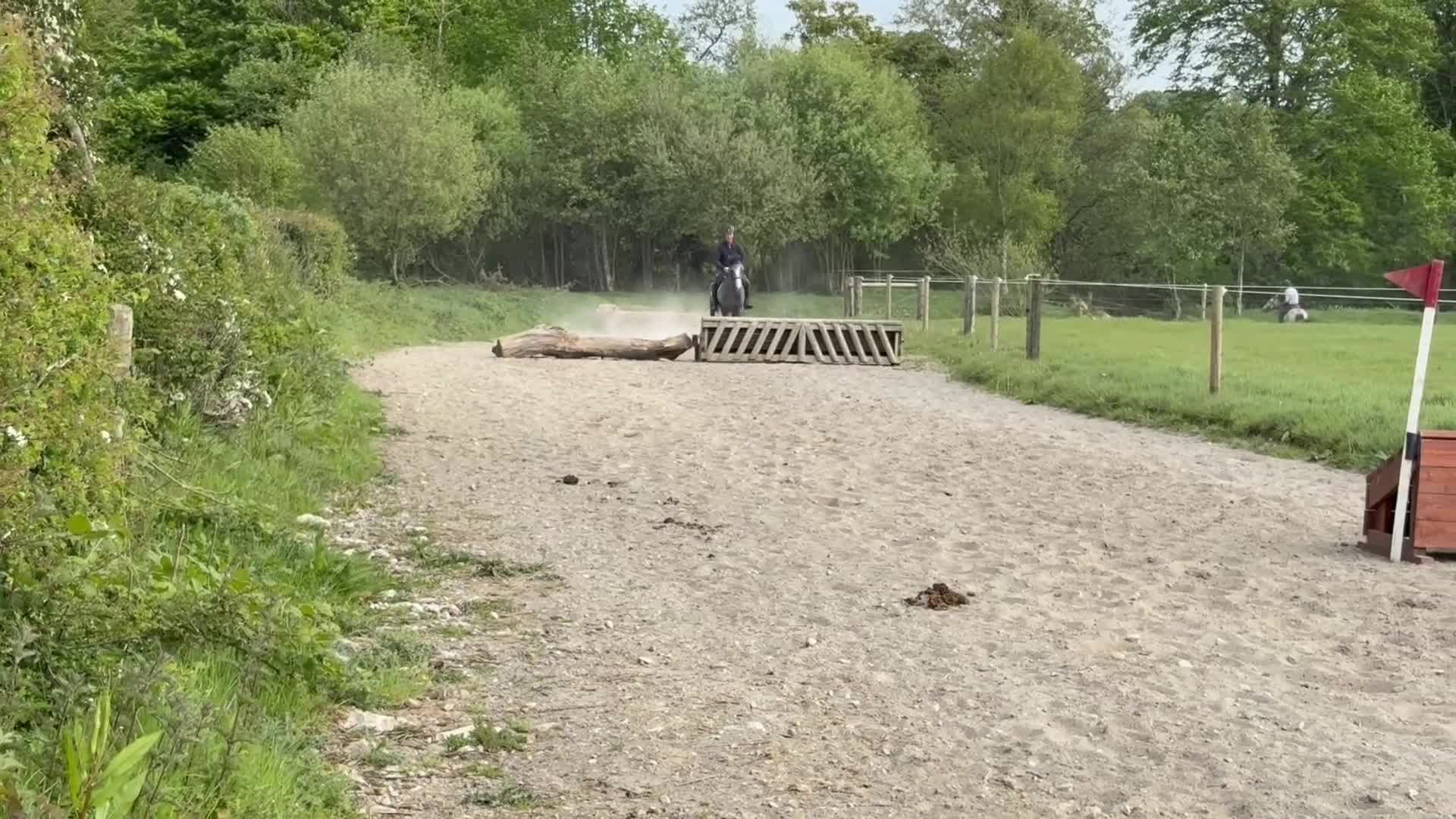 Hoppning hästar till salu: Attyrory Horses - Henry  - Video 5