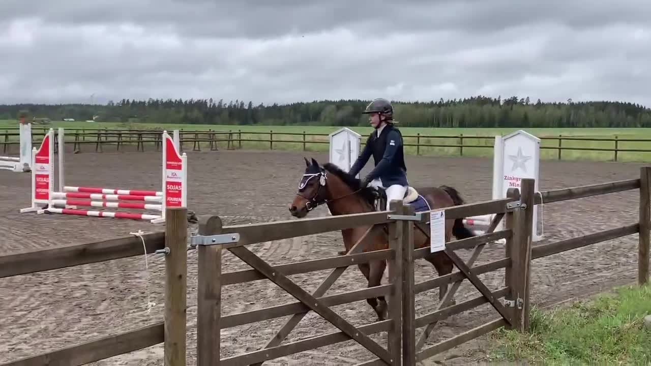 foderhäst sökes: Sökes stor c eller d-ponny på foder  i Kumla - Video 1