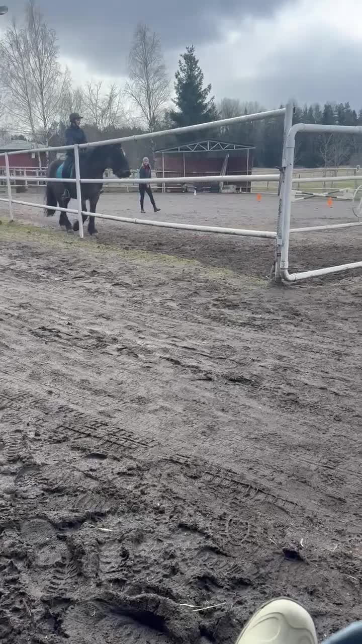  medryttarhäst sökes: Medryttare finnes, Stockholm! i Huddinge - Video 2