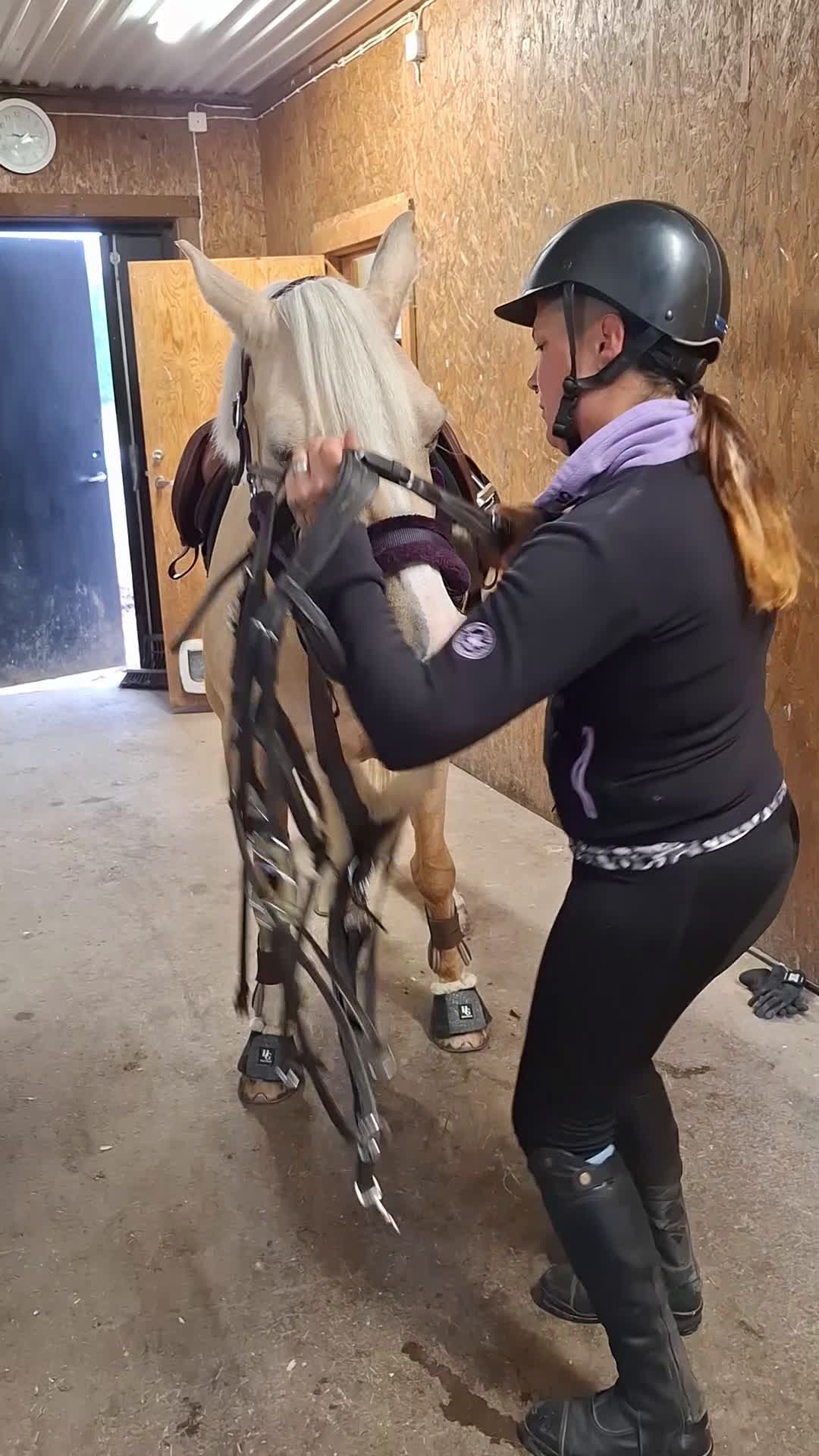 Dressyr hästar till salu: Welsh som syns i mängden  i Tjällmo - Video 2