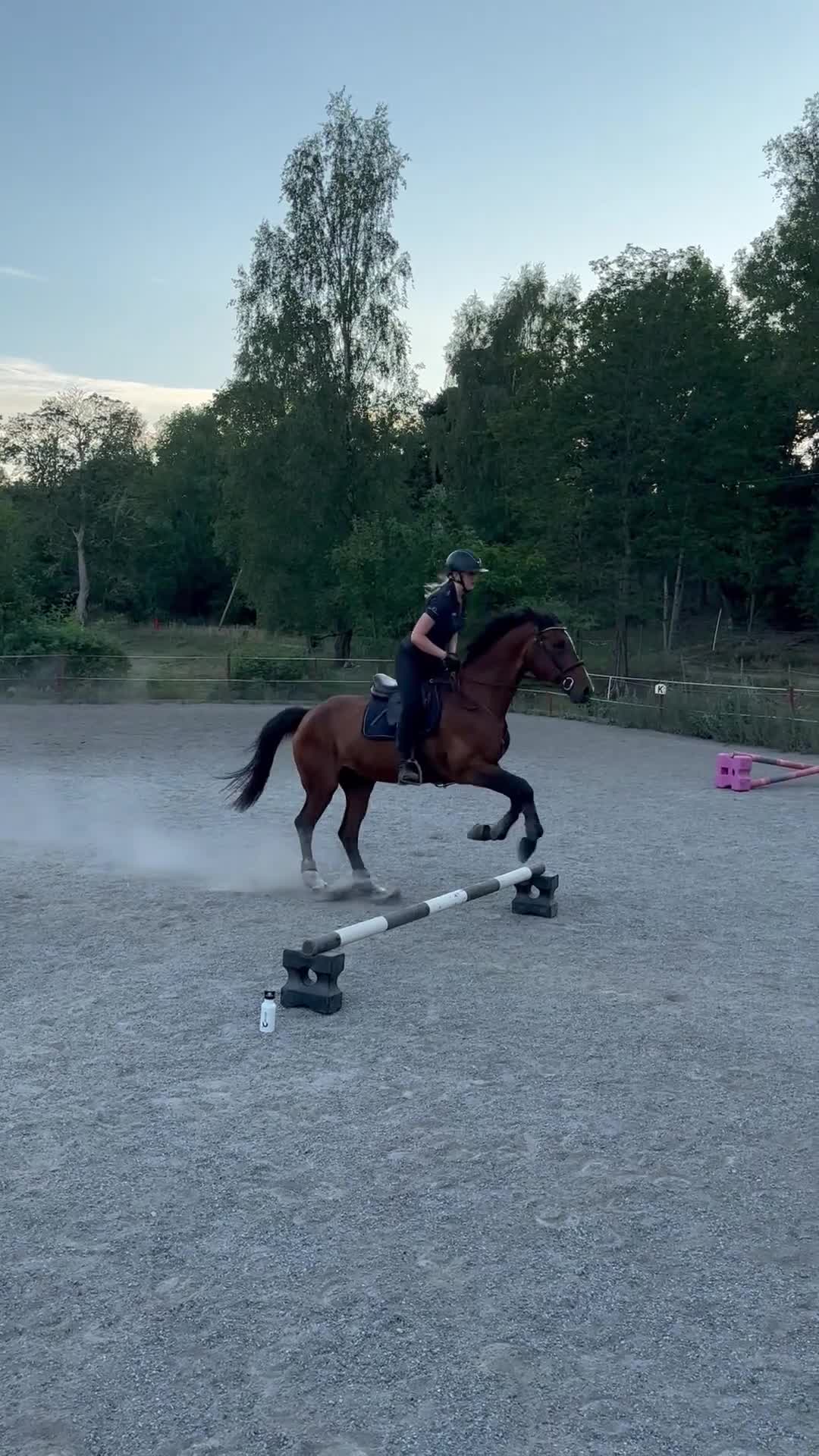  foderhäst sökes: Foderhäst (ev köp) sökes  i Vendelsö - Video 1