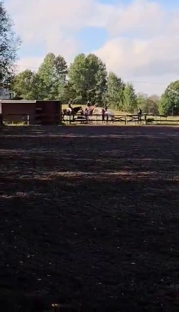 Allround hästar sökes: Häst sökes🐴 i Brämhult - Video 1