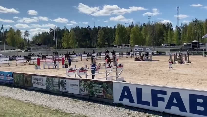 Avelshästar hästar till salu: Avelssto med toppstam - Video 1