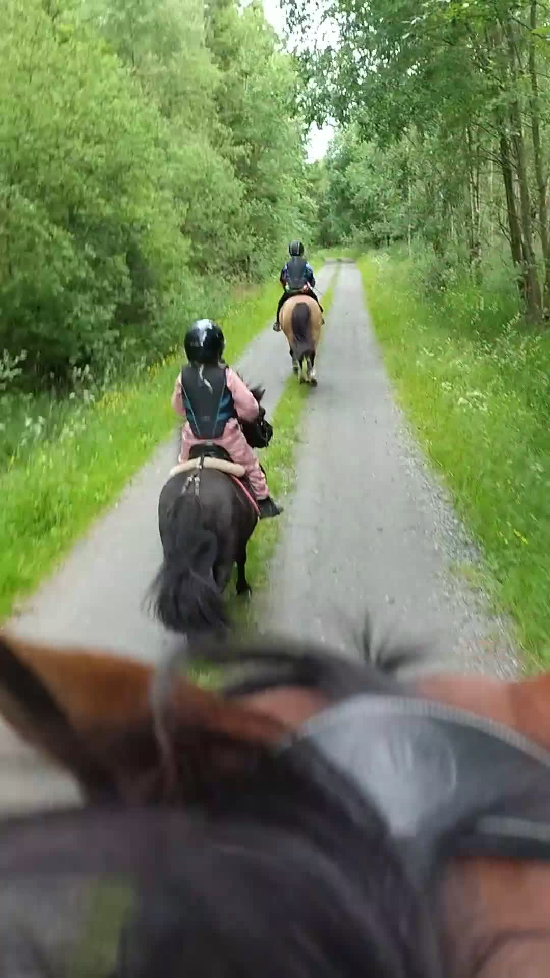 Allround hästar till salu: Underbar shetlandsponny  i Skara - Video 2