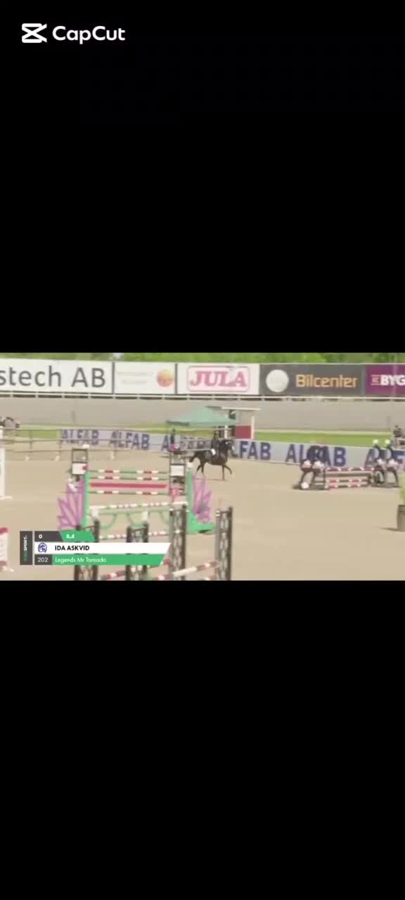Hoppning hästar till salu: Ungponny för toppsporten✨ - Video 1