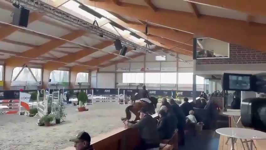 Allround hästar till salu: Fälttävlansämne - Video 3