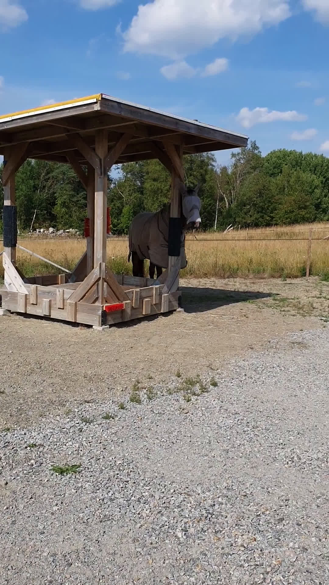  stallplats finnes: Lösdrifts plats uthyres  - Video 1