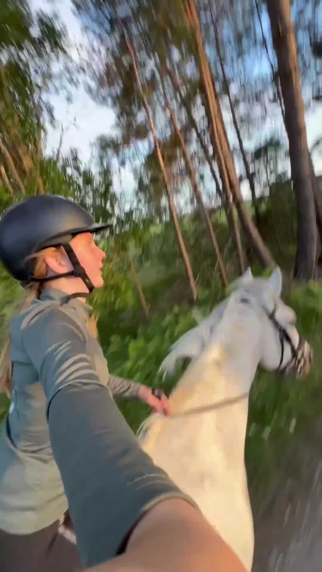 Allround hästar till salu: En läromästare utan dess like - Video 1