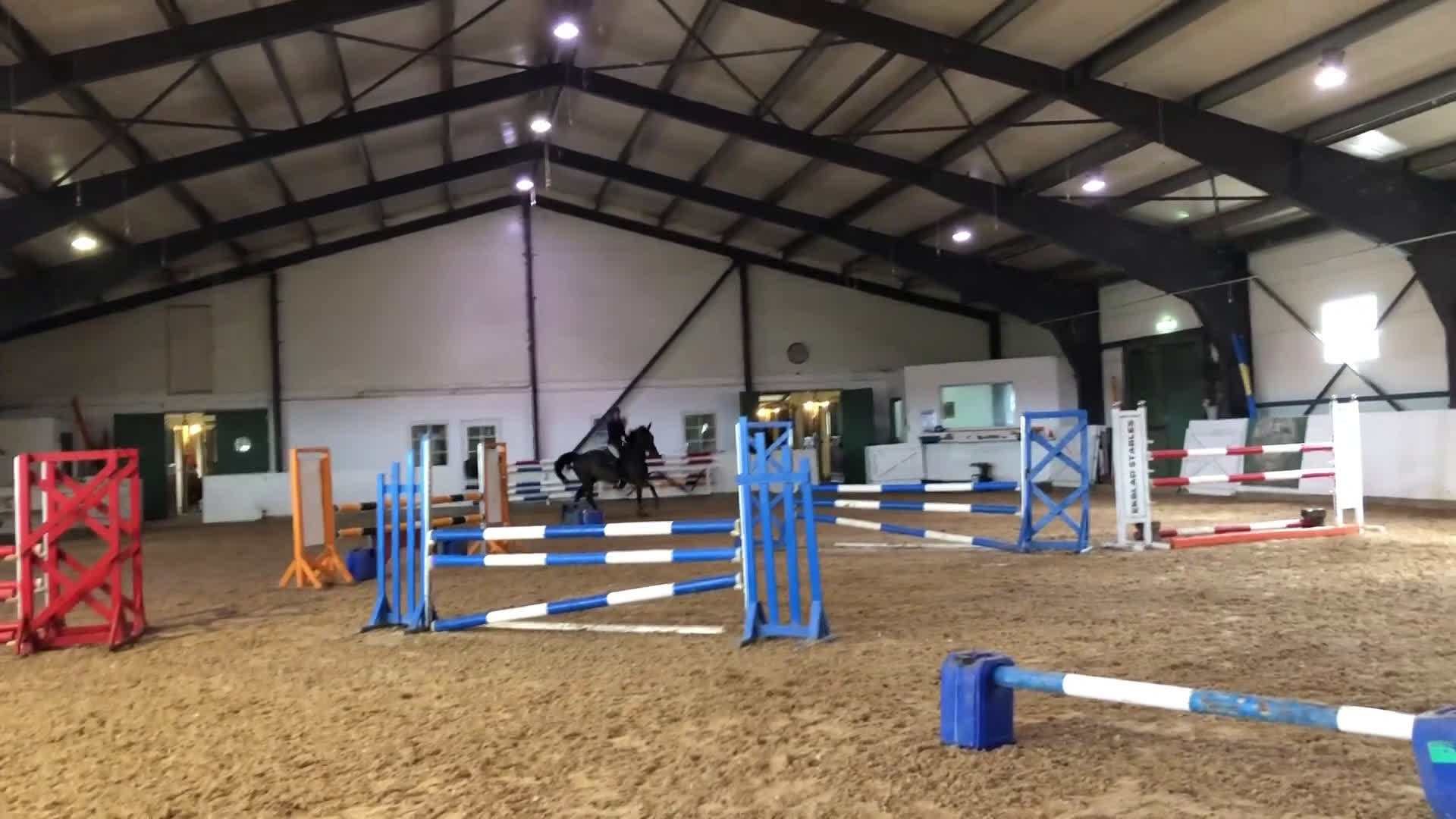 Allround hästar sökes: Hopphäst sökes - Video 1