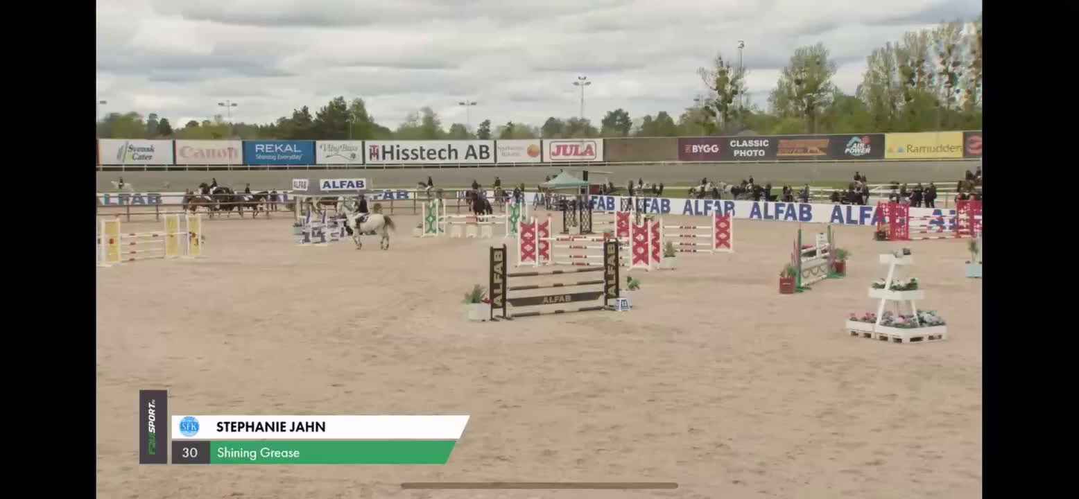 Hoppning hästar till salu: Klasshäst säljes - Video 2