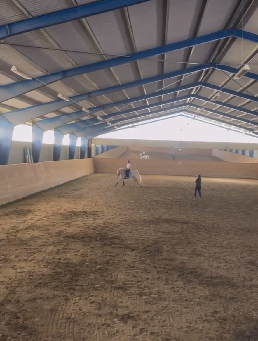 Dressyr hästar till salu: Underbar ponny med genomsnäll personlighet  - Video 3