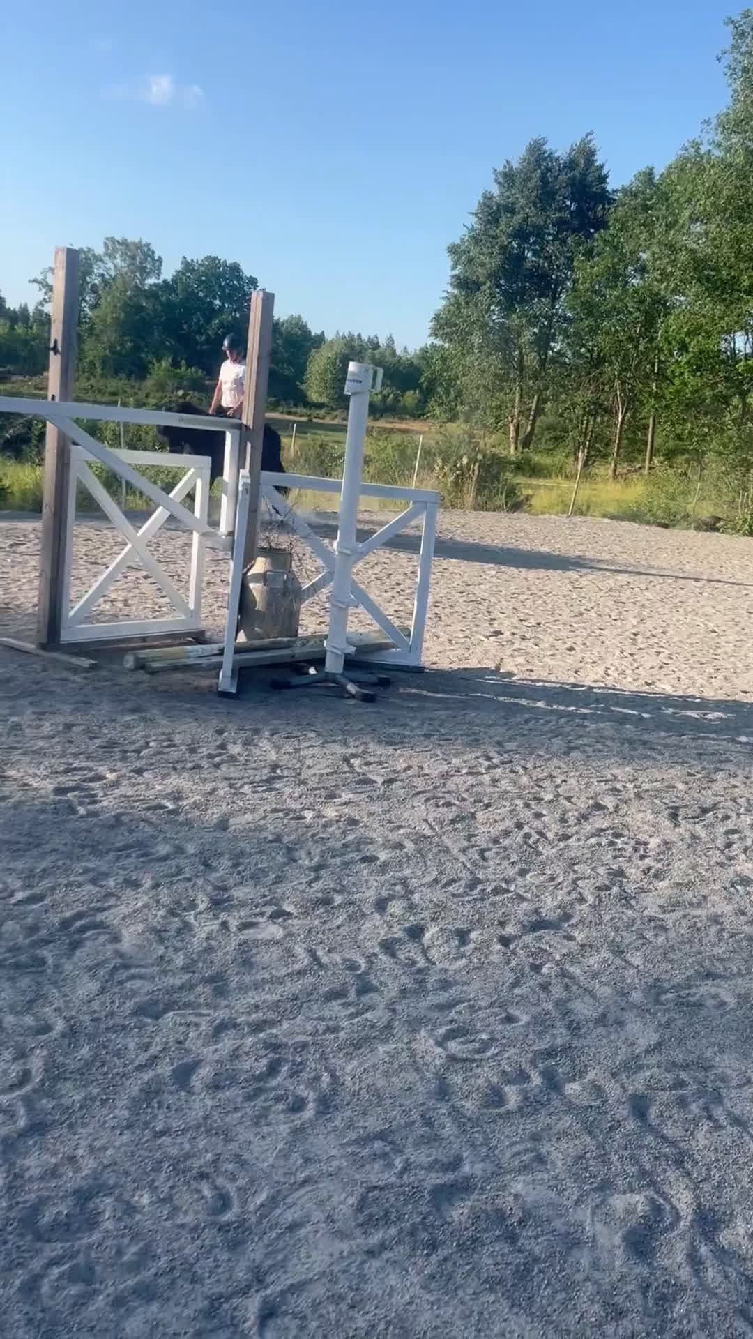 Island hästar till salu: Vackert lovande sto i Torsås - Video 4