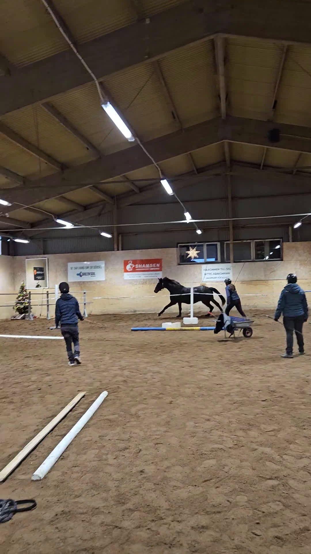 Dressyr hästar till salu: 3 åring dressyr med intressant stam  - Video 3