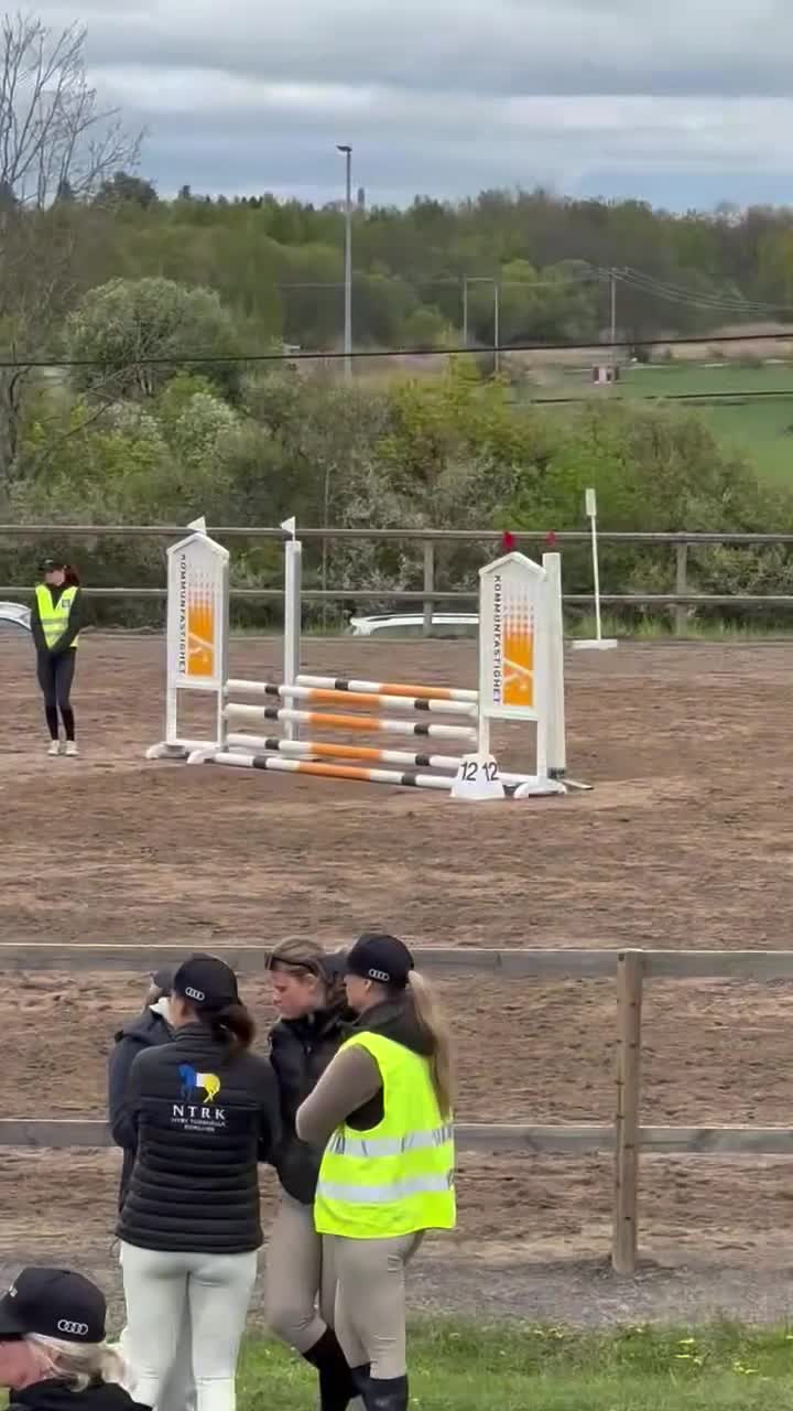 Allround hästar till salu: Världens bästa läromästare  i Strängnäs - Video 1