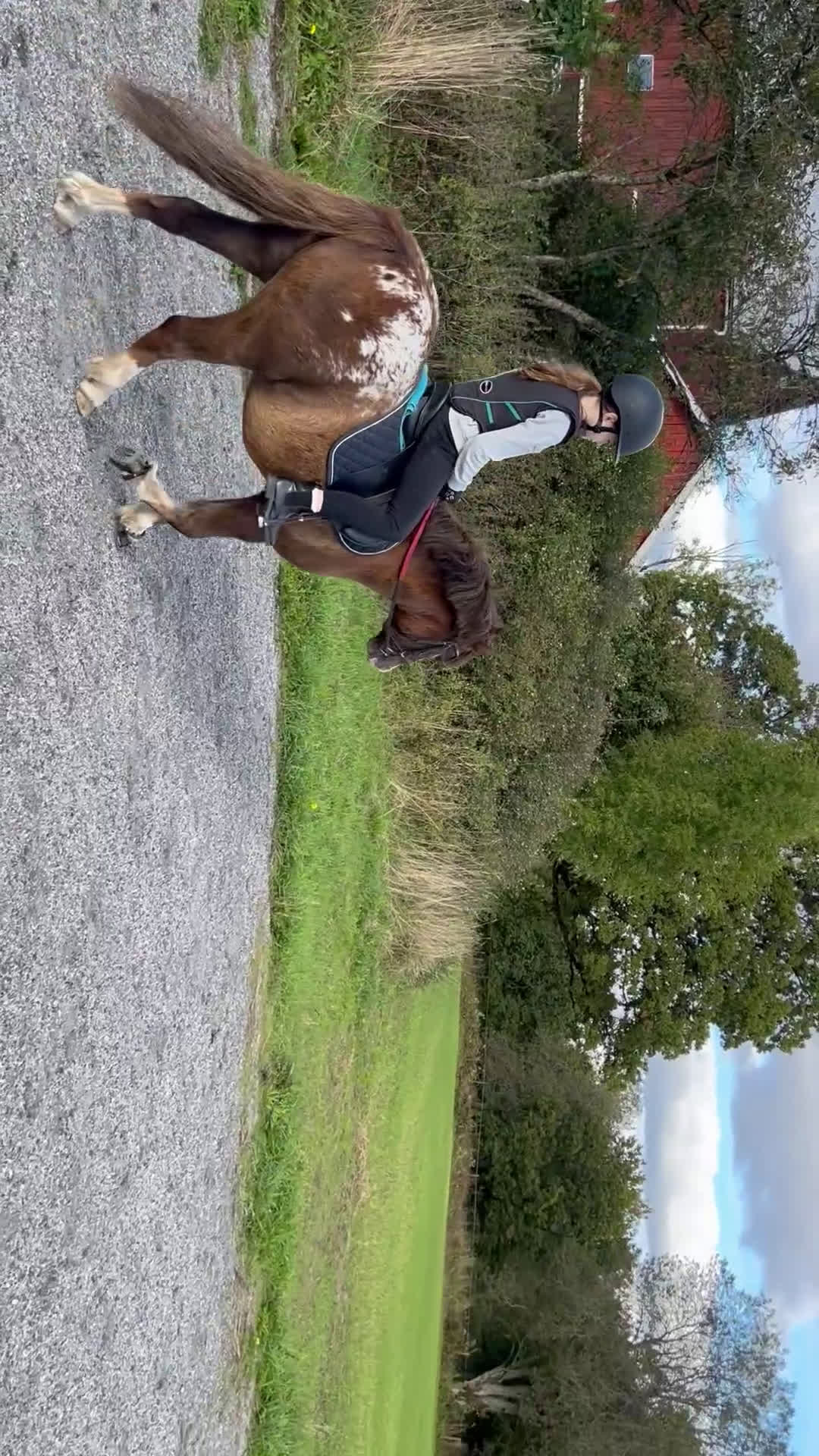 Allround hästar till salu: Söt ponny i Ulricehamn - Video 1