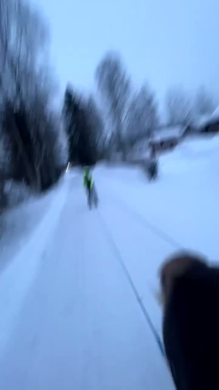 Allround hästar till salu: !!RESERVERAD!! Fin och ambitiös C-Ponny - Video 3