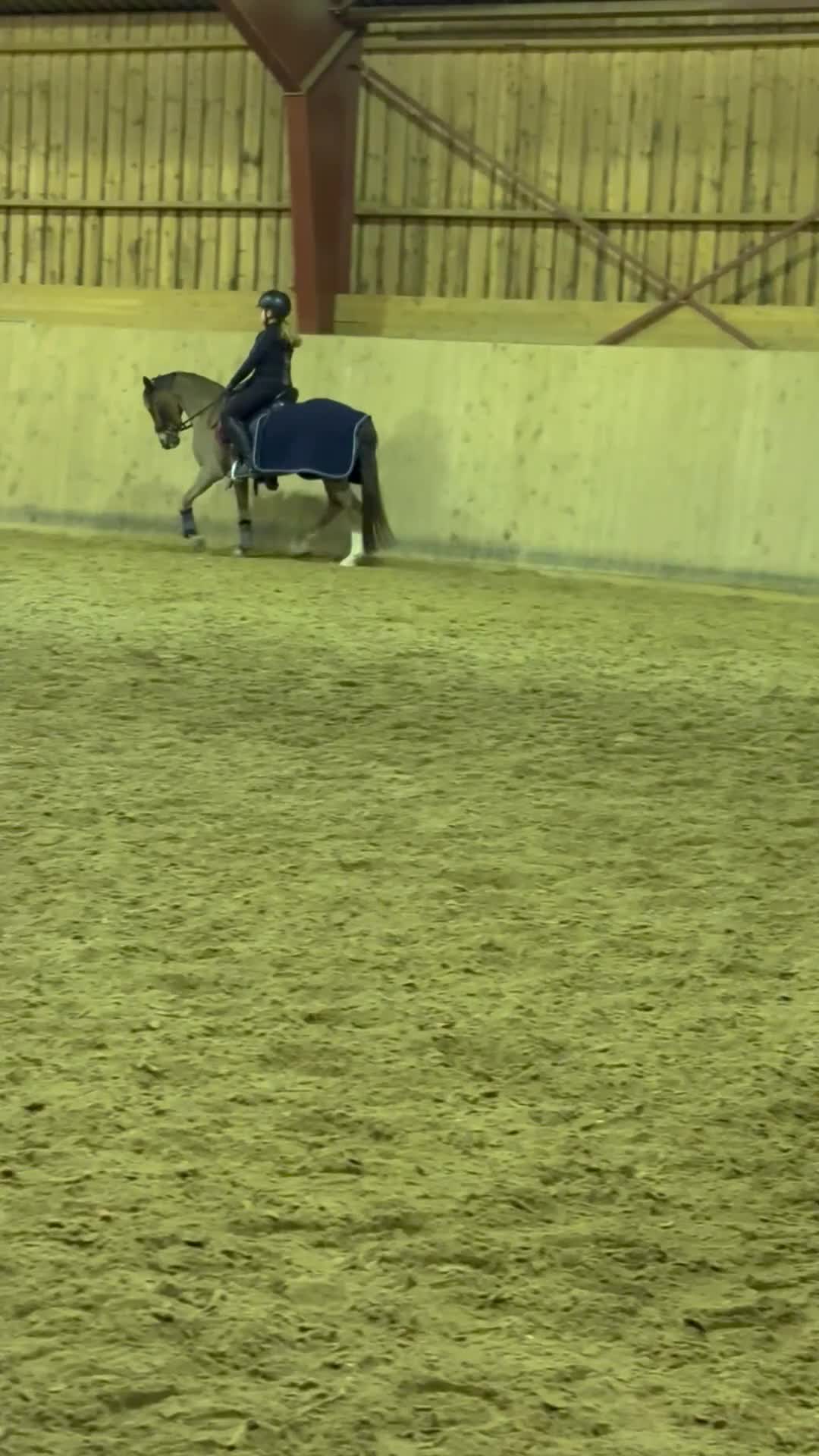 Dressyr hästar till salu: En läromästare med stort ❤️ - Video 4