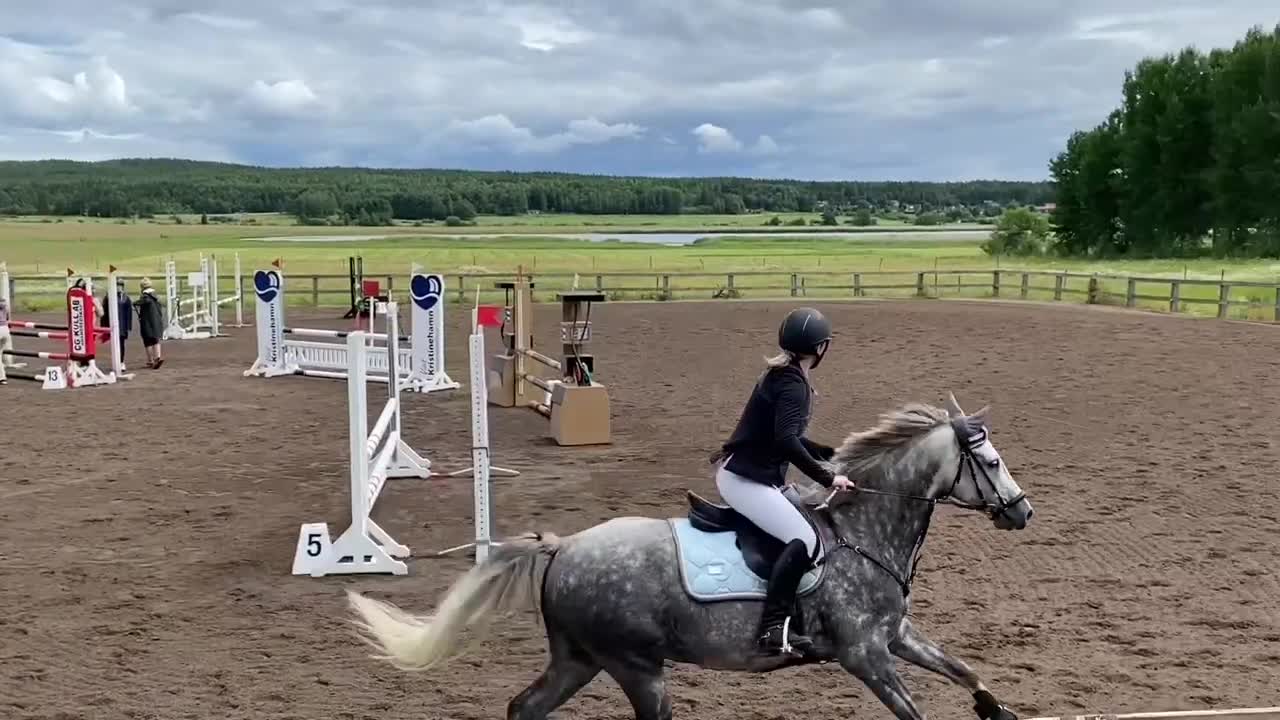 Allround hästar till salu: Läromästare allround i Mullhyttan - Video 3