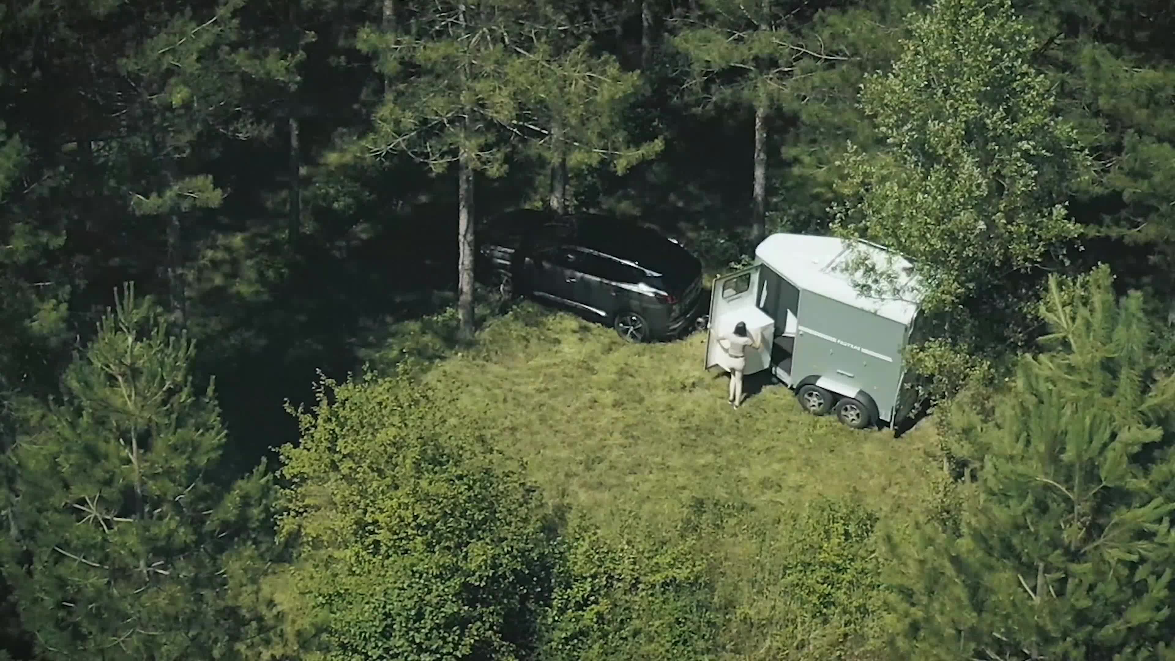 Hästtransporter  fordon & transport till salu: Fautras AidSystem- öppna/stäng bakbommen framifrån - Video 1