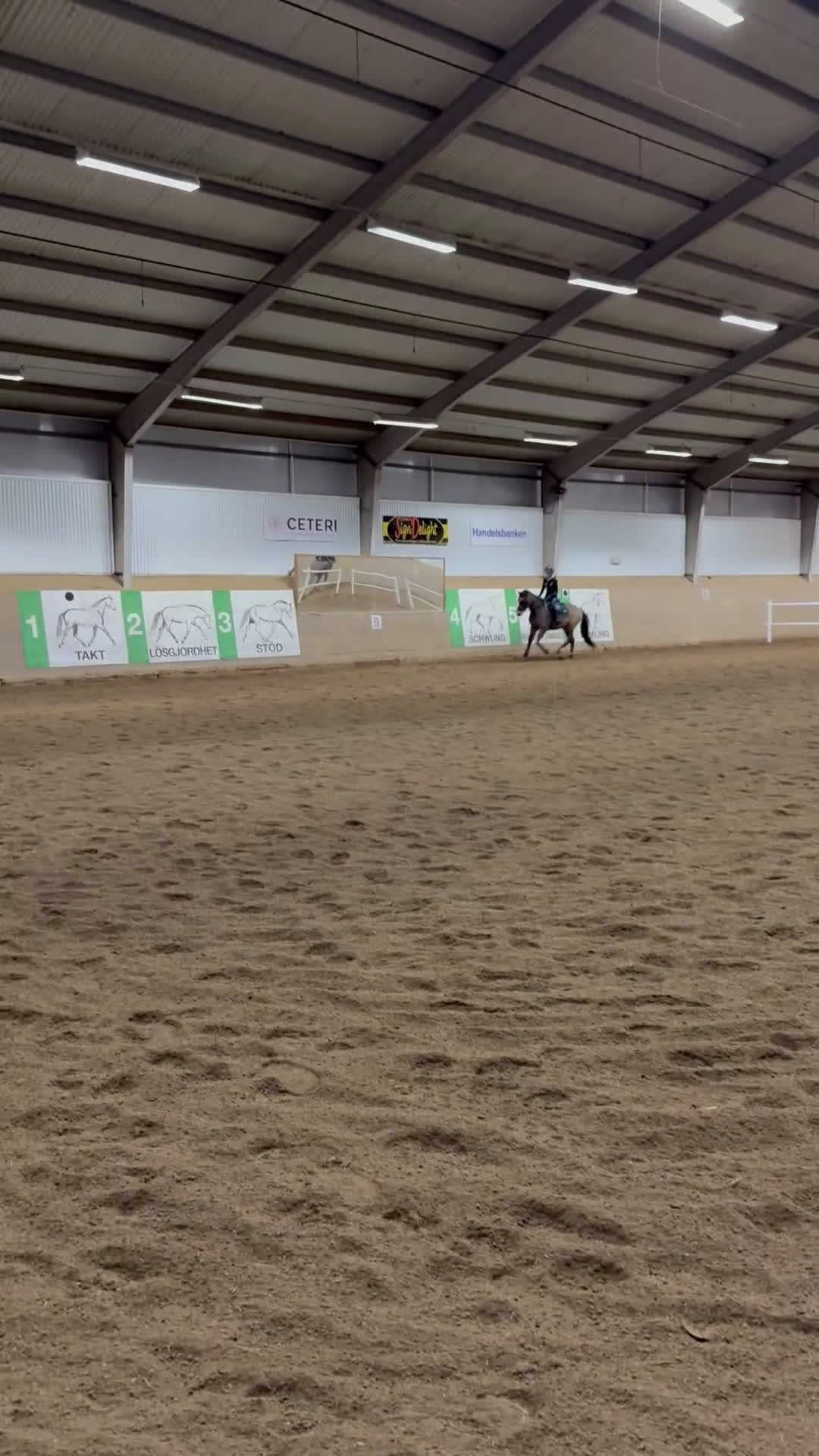 Allround hästar till salu: Charmig c-ponny i Västerås - Video 3