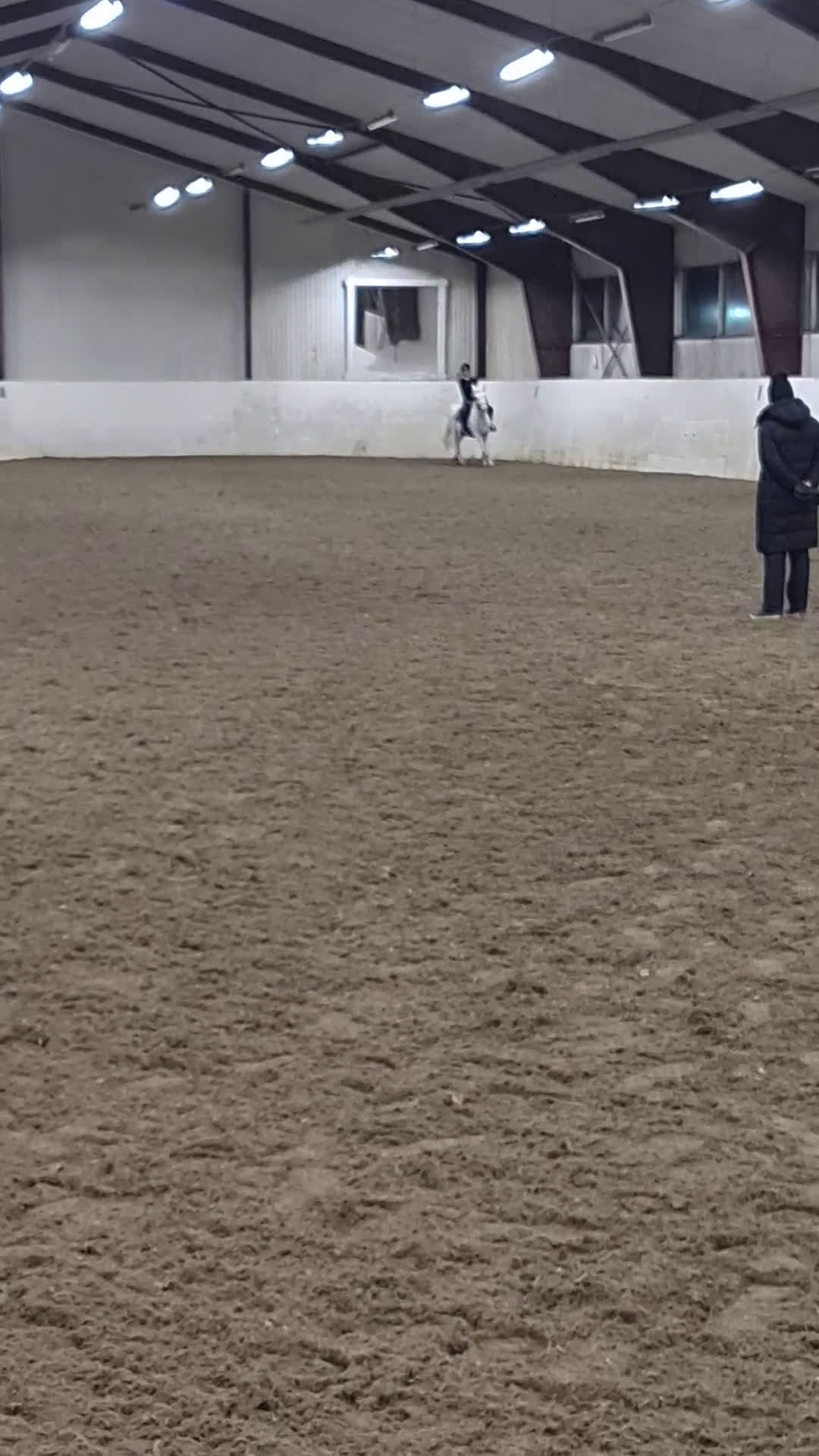 Allround hästar till salu: Bästa allround ponnyn i Öjebyn - Video 3