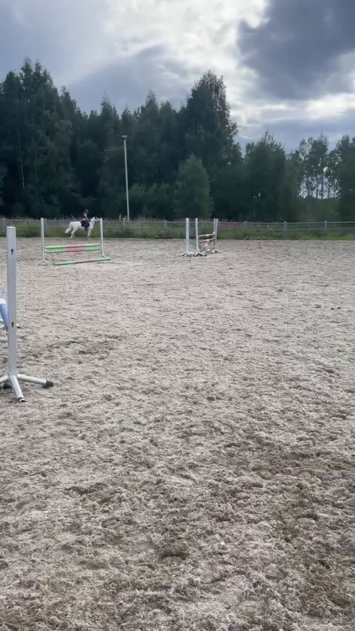 Allround hästar till salu: Bästa allround ponnyn i Öjebyn - Video 1