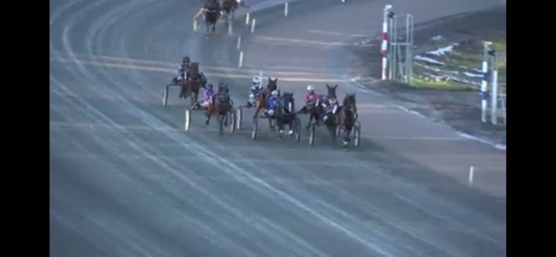 Trav hästar till salu: Guldklimp säljes i Stöde - Video 1