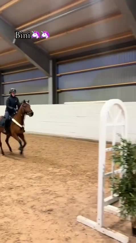 Hoppning hästar till salu: Lyxig allround ponny - Video 2