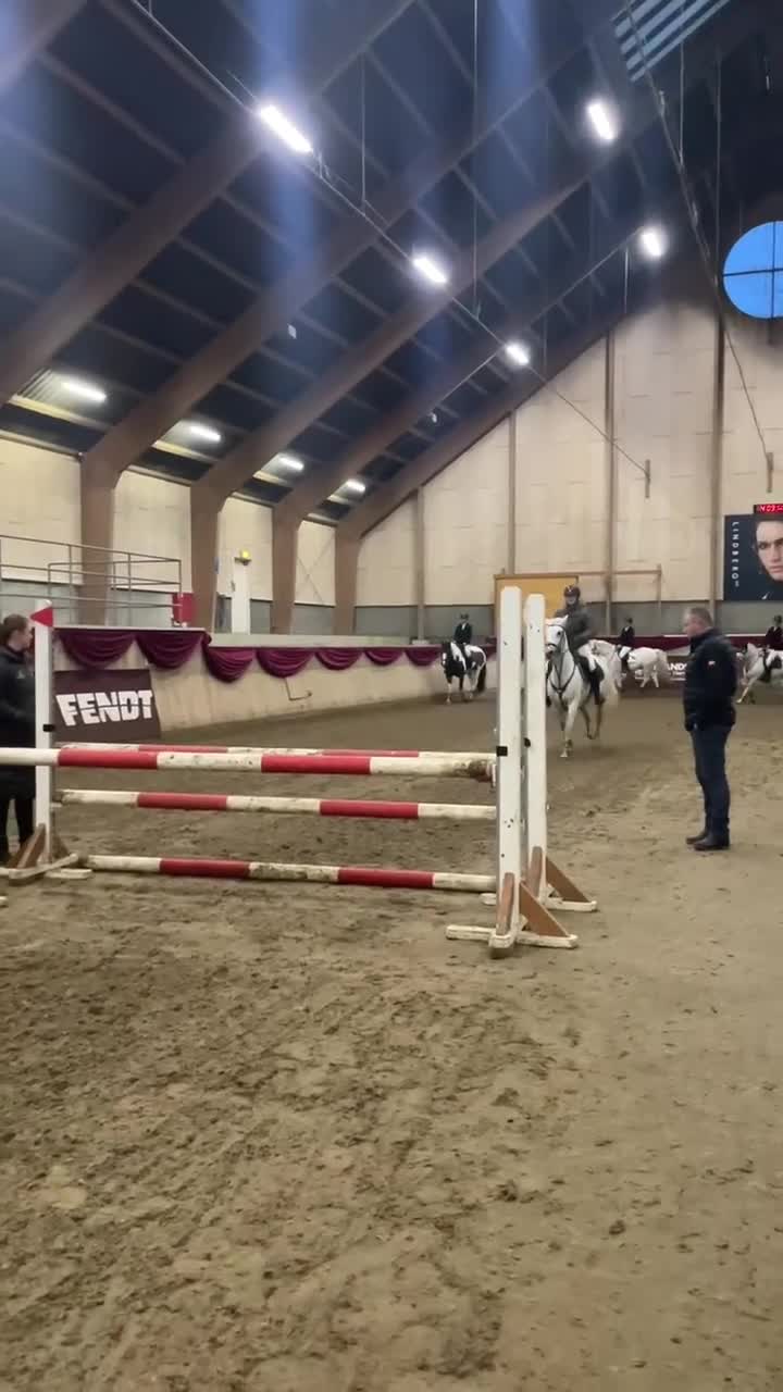 Hoppning hästar till salu: Spring pony til store stævner  - Video 2