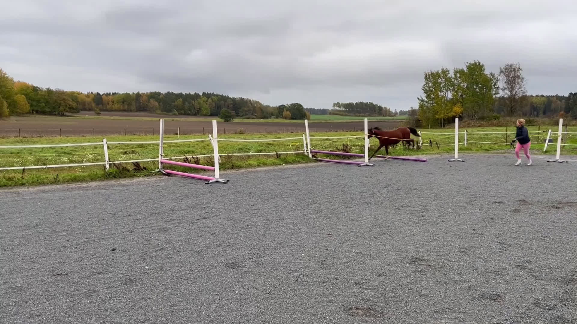 Allround hästar till salu: Härlig ponny söker sin familj 💖 i Eskilstuna - Video 1