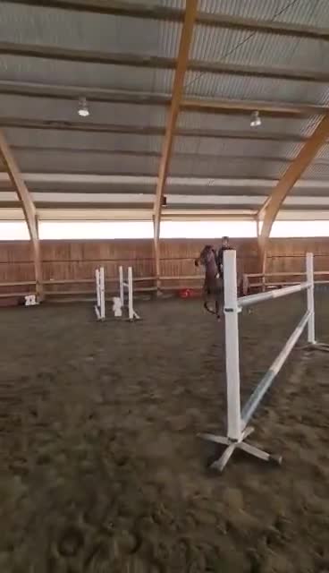 Allround hästar till salu: Trevligt sto med power  i Älvängen - Video 1