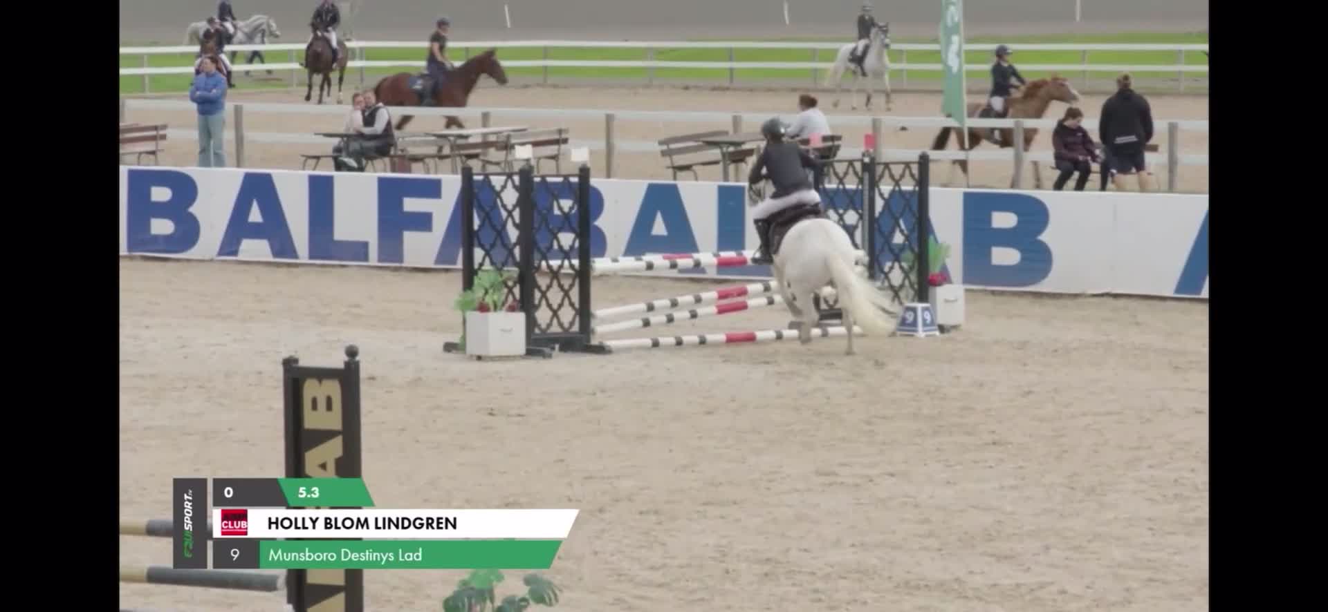 Hoppning hästar till salu: Ponny med kapacitet och hjärta - Video 2