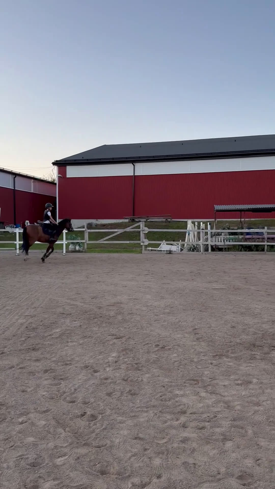 Allround hästar till salu: Charmig c-ponny i Västerås - Video 2