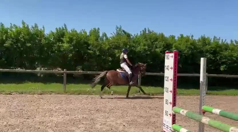 Hoppning hästar till salu: SM ponny i Vellinge - Video 4